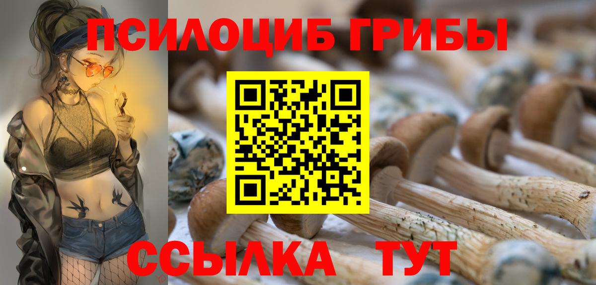 Галлюциногенные грибы MAGIC MUSHROOMS Урус-Мартан